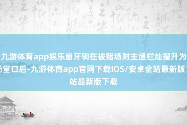 九游体育app娱乐崩牙驹在被赌场财主渔栏灿擢升为罩场堂口后-九游体育app官网下载IOS/安卓全站最新版下载