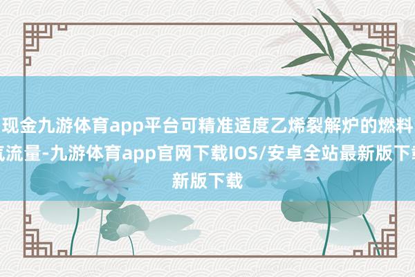 现金九游体育app平台可精准适度乙烯裂解炉的燃料气流量-九游体育app官网下载IOS/安卓全站最新版下载