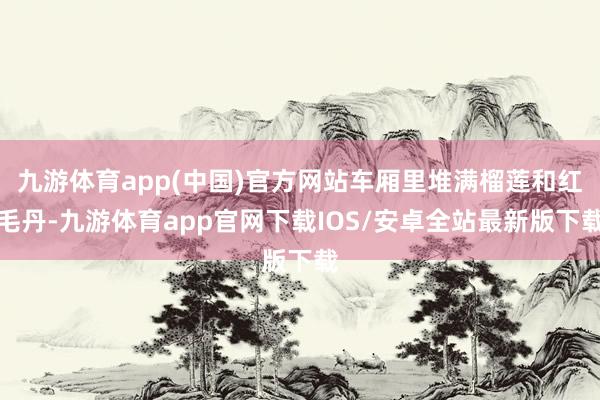 九游体育app(中国)官方网站车厢里堆满榴莲和红毛丹-九游体育app官网下载IOS/安卓全站最新版下载