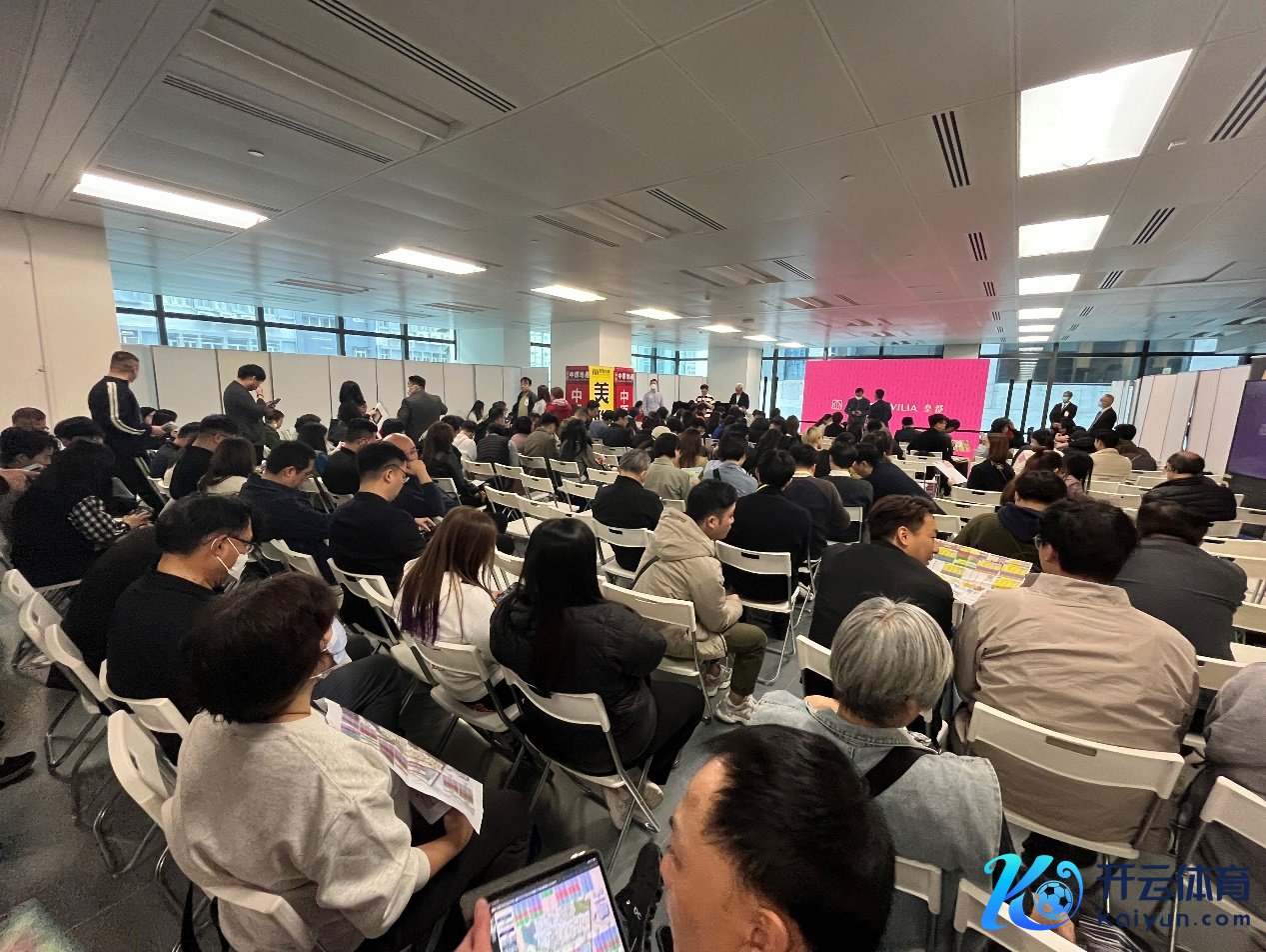 皇皆风光认购现场火热