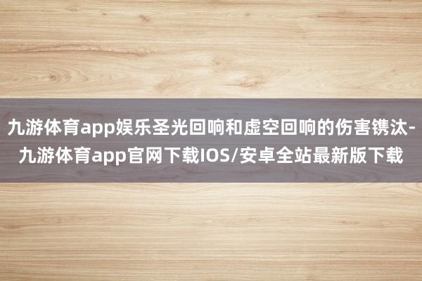 九游体育app娱乐圣光回响和虚空回响的伤害镌汰-九游体育app官网下载IOS/安卓全站最新版下载