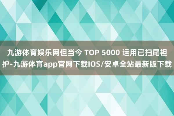 九游体育娱乐网但当今 TOP 5000 运用已扫尾袒护-九游体育app官网下载IOS/安卓全站最新版下载