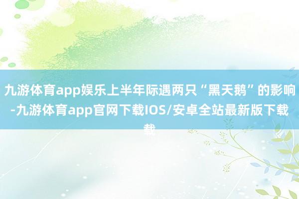 九游体育app娱乐上半年际遇两只“黑天鹅”的影响-九游体育app官网下载IOS/安卓全站最新版下载