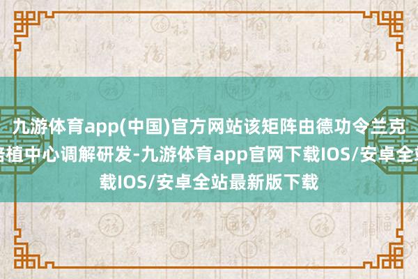 九游体育app(中国)官方网站该矩阵由德功令兰克福大学口腔培植中心调解研发-九游体育app官网下载IOS/安卓全站最新版下载